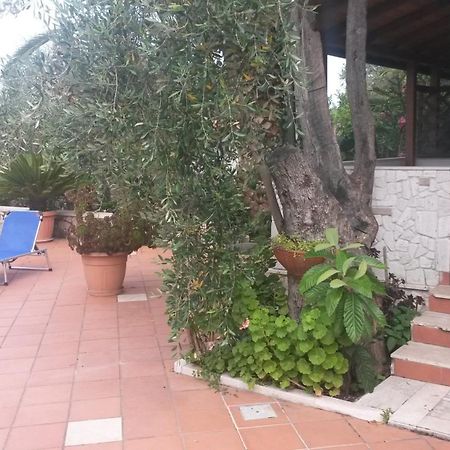 Villa Monica Appartamenti Vieste Exterior foto