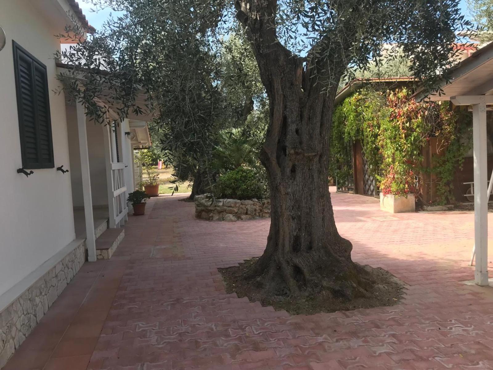 Villa Monica Appartamenti Vieste Exterior foto