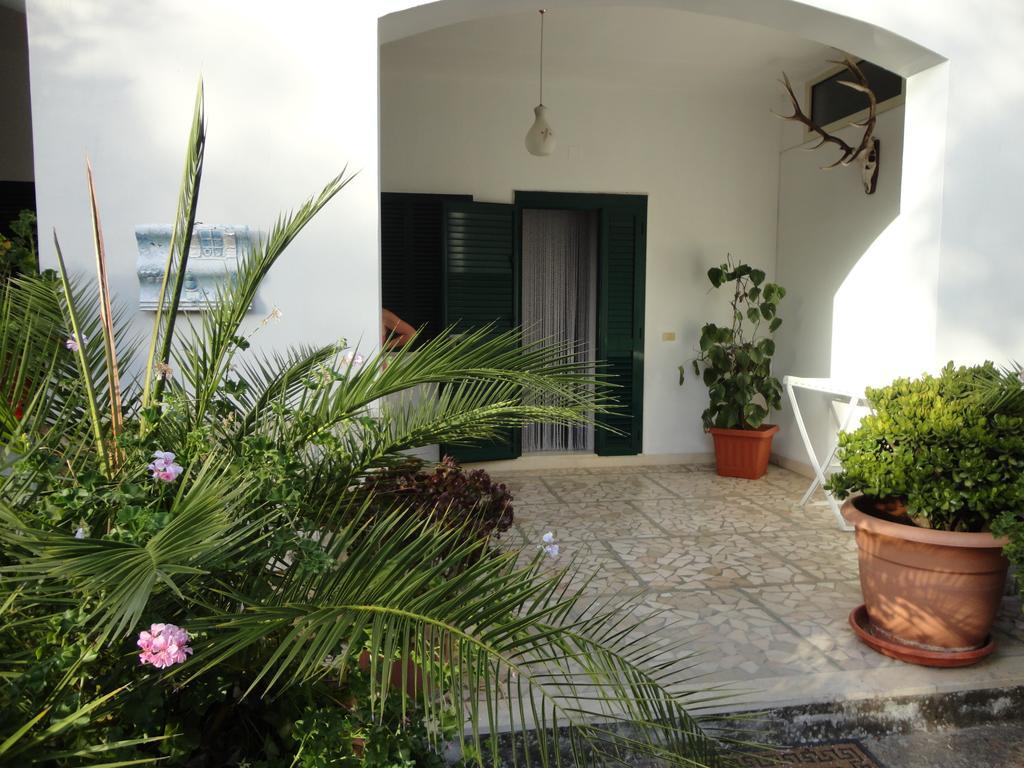 Villa Monica Appartamenti Vieste Quarto foto